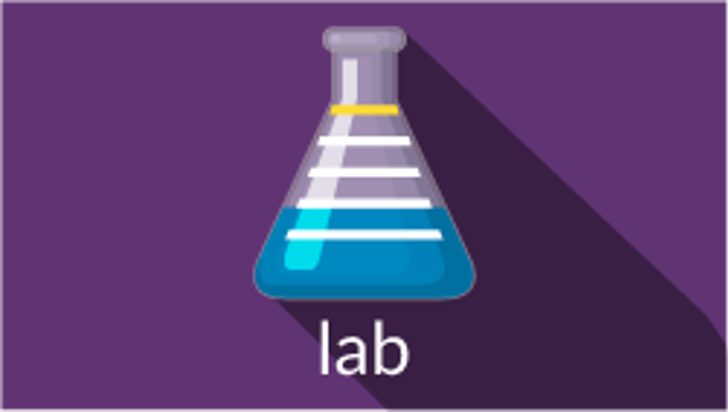 Lab